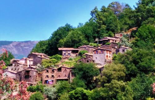 Talasnal Casa do Cascão - Foto 14