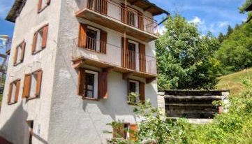 Stones and Pines - Foto 5