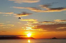 GUEST HOUSE 60m2 tout confort - Foto 23