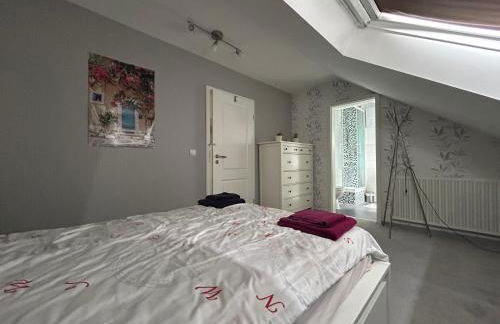 Must love dogs - Foto 11