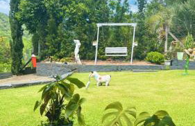 Chalé cipreste 4 Quartos - Foto 35