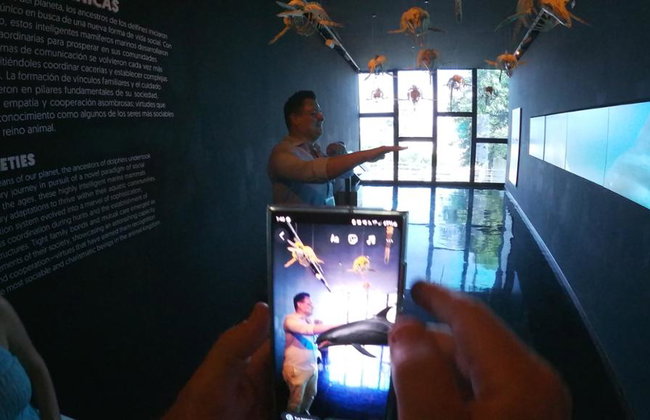 Munba: Museo Nacional de la Ballena - Tour - Foto 8