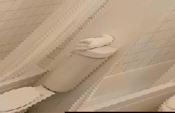 Gladiolas 1104 - Foto 10