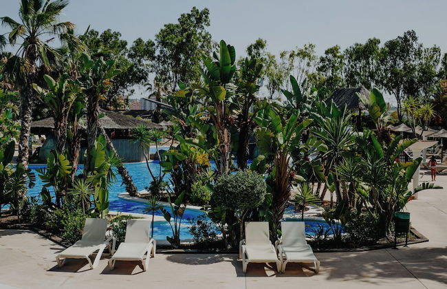 Alannia Guardamar Resort - Foto 41