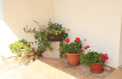 Apartments with parking space Ugljan - 8493 - Foto 15