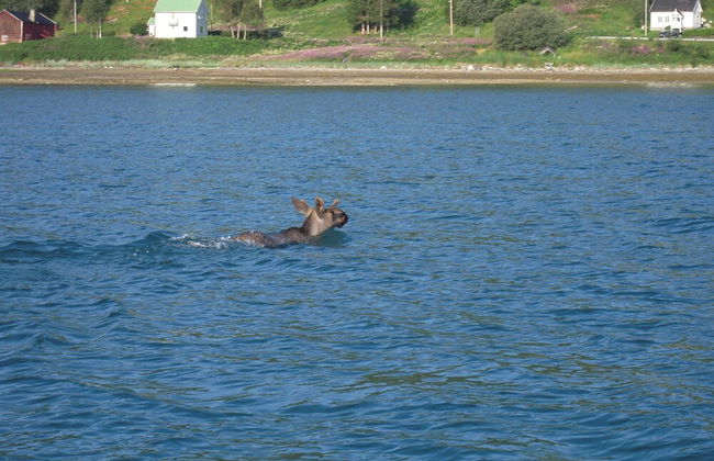 Furoy Hotel Apartments and Boating - Photo 34