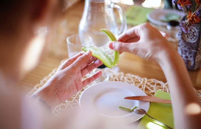 Aloe Vera Farm Tour - Foto 13