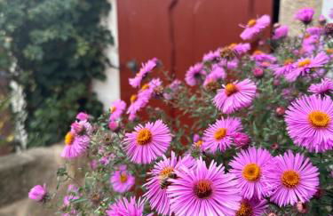 Cosy historic brewery with beautiful outdoor space - Foto 56