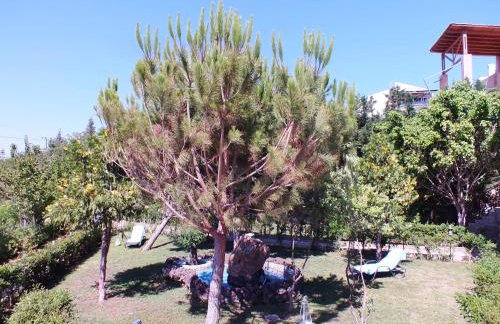 Aphrodite View - Foto 13