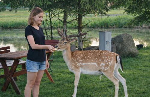 Mazury Domek nad Łowiskiem Muławki - Foto 19