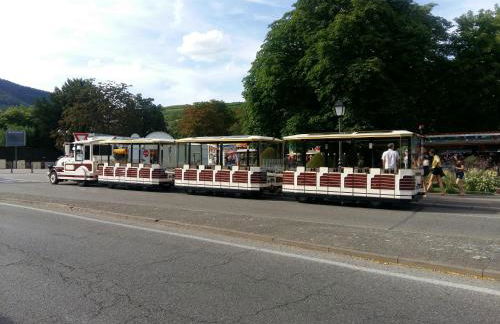 La Maison des Tanneurs - Foto 32
