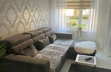 Black Daisy - Foto 42