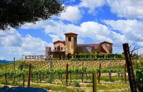 Your Home Away From Home near Wineries & Old Town - Foto 50