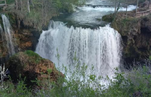 Apartment Petrovic - Foto 27