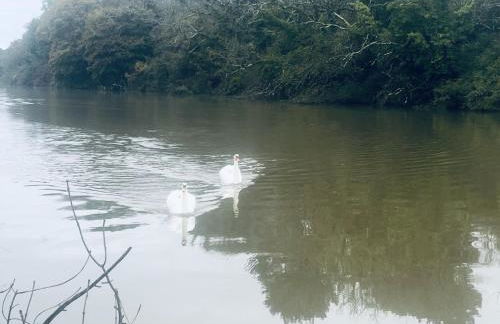 2 Bedrooms overlooking Little Petherick Creek - Foto 10