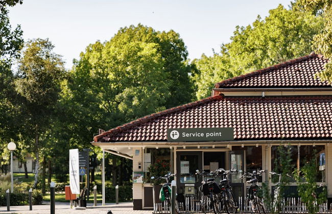 Restyled Bungalow with Dishwasher near Nature Reserve - Photo 34