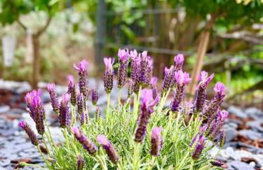 NEW LUX Smart Home 69m2,Terrasse, Modern, Metro 13 - Foto 11