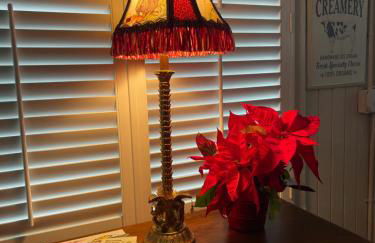 Romantic Studio Apt in Historic Downtown Savannah - Foto 6