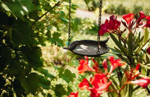 Ferienhaus Müller - Foto 24