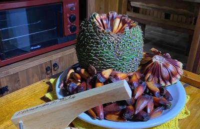 Chalé Boutique Recanto dos Ursos - Foto 43