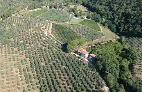 Agriturismo Fattoria Celle - Photo 12