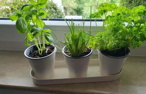 Zwischen Frankfurt und Würzburg im schönen Odenwald - Foto 13