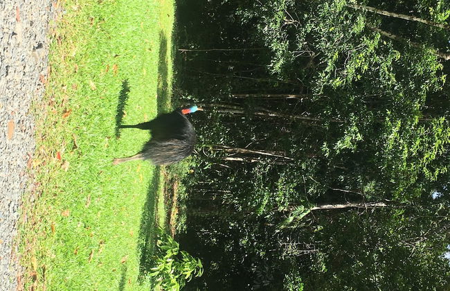 Mowbray by the Sea - Foto 45