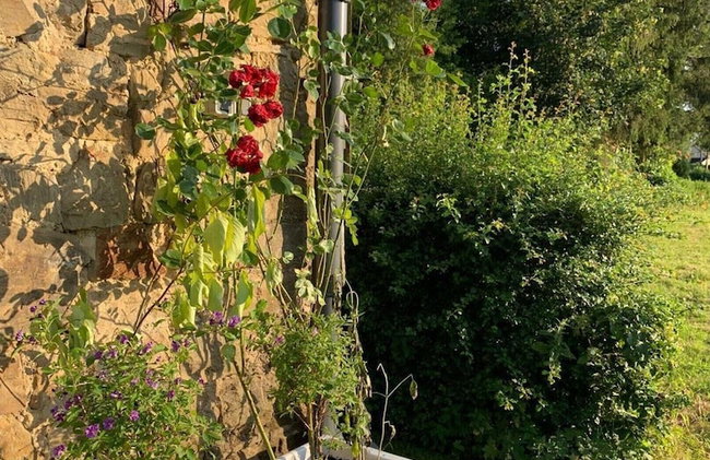 Holiday Apartment in Beautiful Hunningen - Foto 21