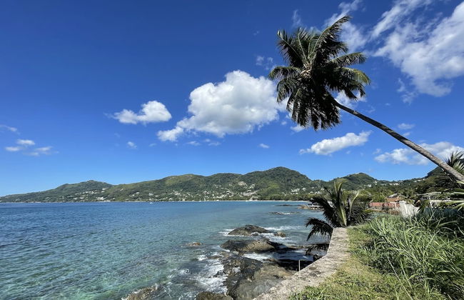 VallonEnd Beach Front Villa - Foto 47