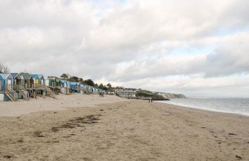 One Dolfor - Photo 38