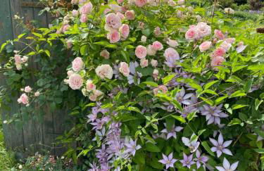 Villa B das zauberhafte Chalet - Foto 45