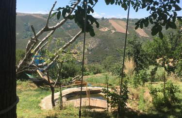 Mosteirinho - Foto 71