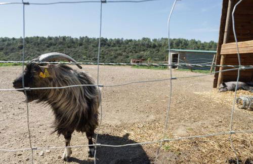 Mas El Brugué - Foto 22