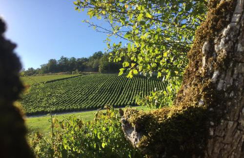 Gîte champenois les voisins - Foto 66