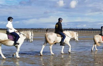 Studio neuf Garance 35 m2 Salin de Giraud - Foto 14