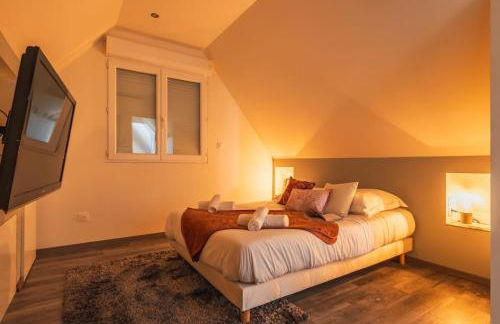 Nouveau - Le Patio - A 20 min de Europa Park - Navette - Photo 14