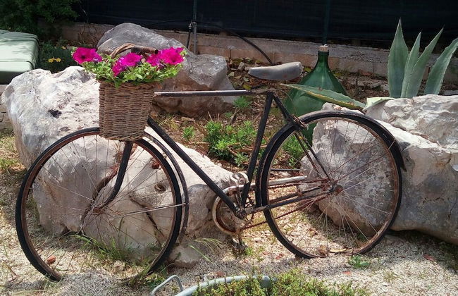 Casale Torre San Magno - Foto 69