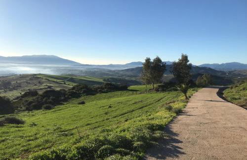 Casa Algarrobo by Rosas Cantares - Foto 16