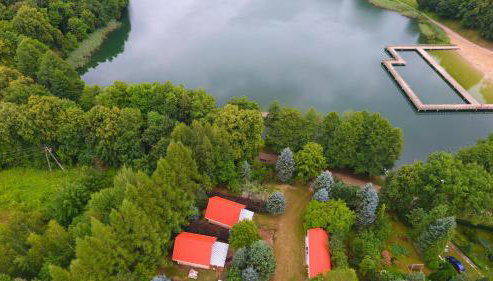 Kwiat Paproci - Foto 2