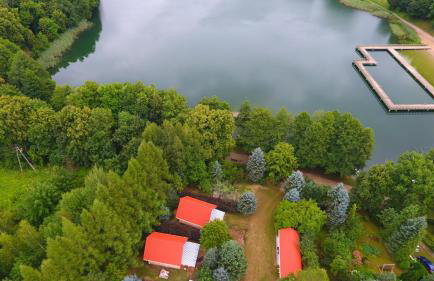 Kwiat Paproci - Foto 2