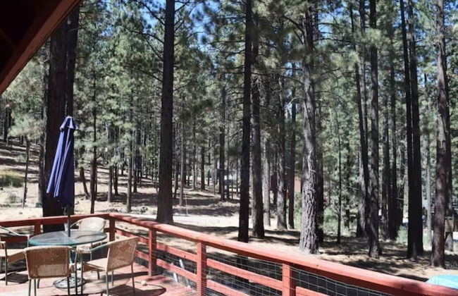 Markleeville Cabin - Foto 29