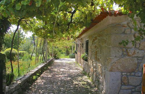 Casa do Tamanqueiro - Foto 1