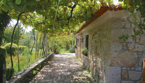 Casa do Tamanqueiro - Foto 1