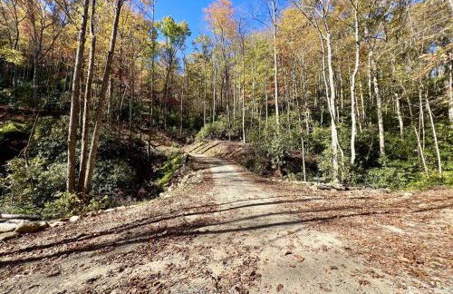 Creek side Mountain Perfect for Families ,We are just 5 to 7 minutes from the entrance of Pisgah Forest, where you ll find many rivers and waterfalls - Foto 46