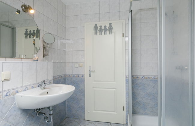 Zaunkönig - Foto 19