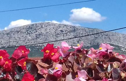 Apartman Gabrijela - Foto 55