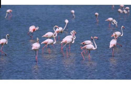 Appartement 1ere ligne piscine terrasse au bord de la plage front de mer avec vélos - Foto 71