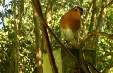 The BeeKeepers - Homely Luxurious Self Catering - Foto 63