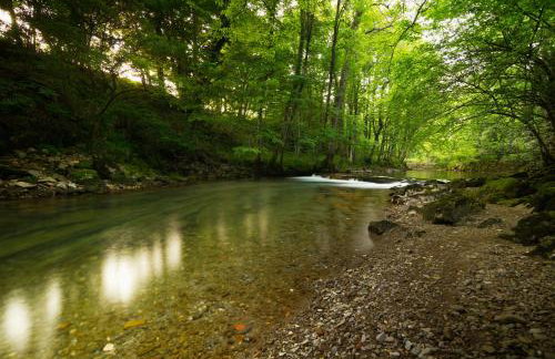 Apartman Sara - Foto 6