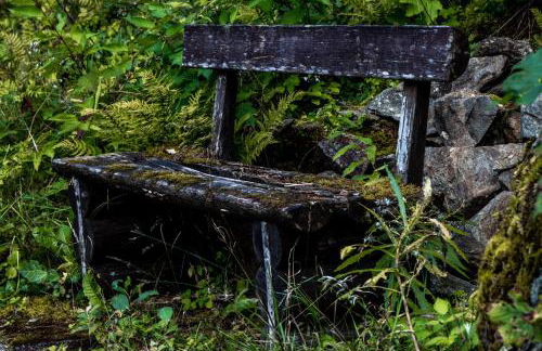 Apartments Haus Martin - Foto 15